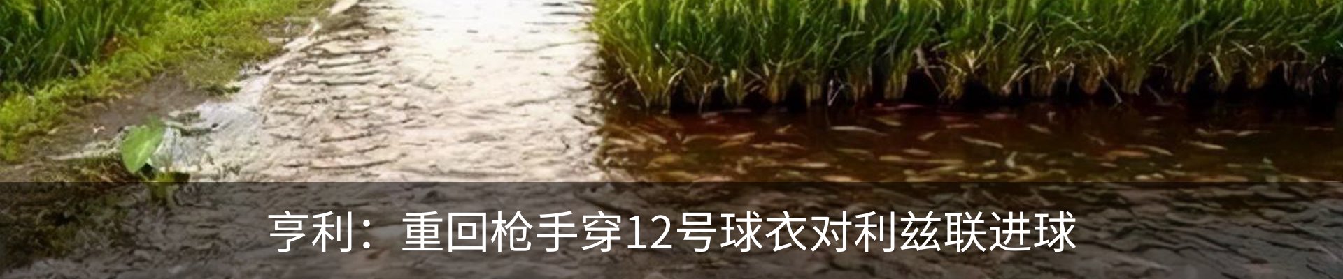 新闻中心